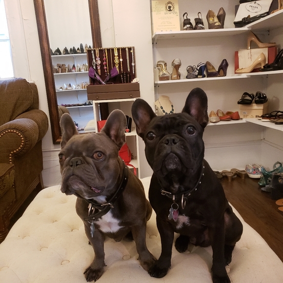 Luxe consignmet  376 pleasant st Northampton MA 01060 - Picture 9 of 12